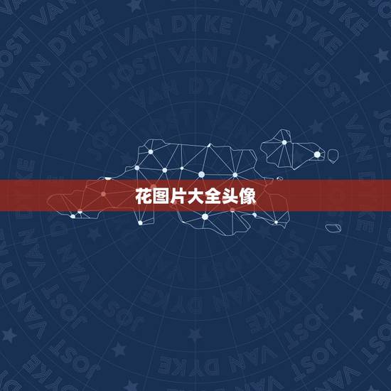 花图片大全头像，求花遮住脸的图片，头像，欧美图