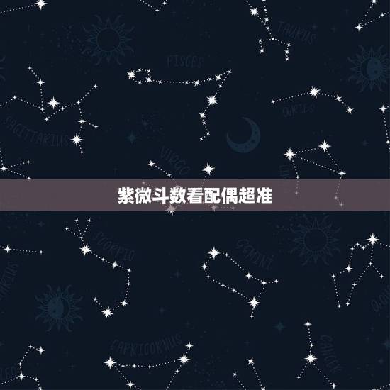 紫微斗数看配偶超准,紫薇看配偶准么 紫微斗数看配偶超准,紫薇看配偶准么