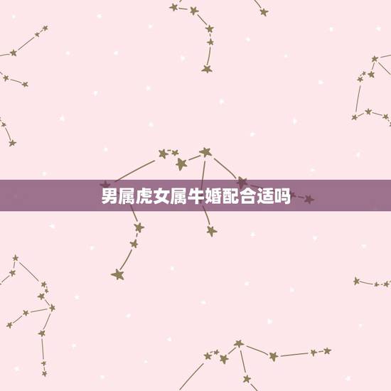 男属虎女属牛婚配合适吗,女属牛男属虎相配吗 男属虎女属牛婚配合适吗,女属牛男属虎相配吗
