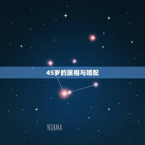 45岁的属相与婚配,93年属鸡男婚配表 45岁的属相与婚配,93年属鸡男婚配表