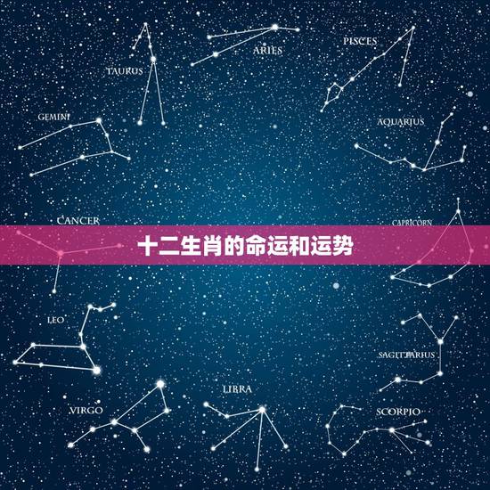 十二生肖的命运和运势，十二生肖每月运势与方向
