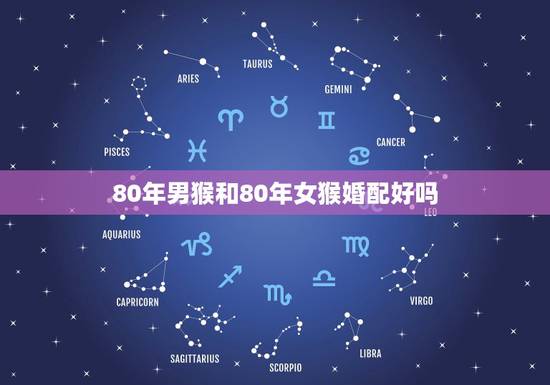80年男猴和80年女猴婚配好吗，92男猴95女猪婚配好