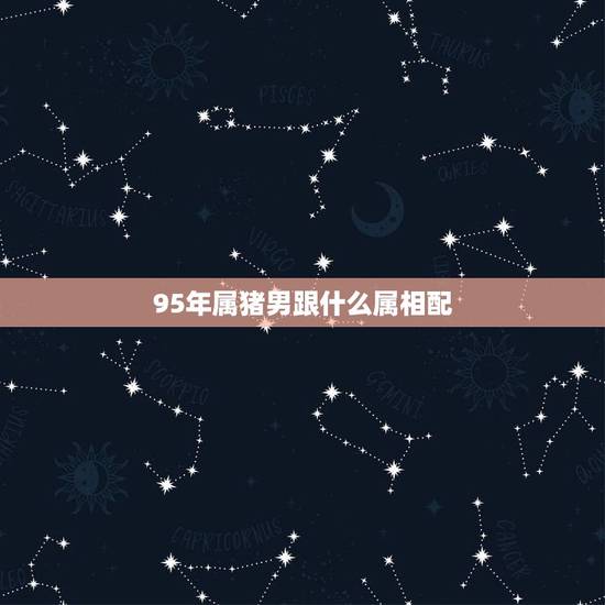 95年属猪男跟什么属相配，五行中虎和猪破合是什么意思