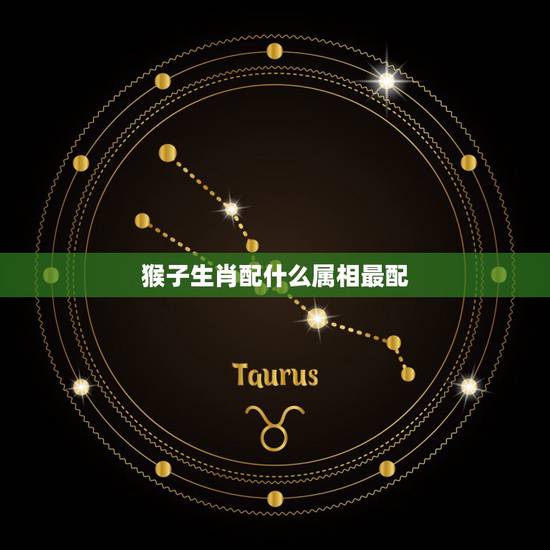 猴子生肖配什么属相最配,猴与什么属相相配 猴子生肖配什么属相最配,猴与什么属相相配