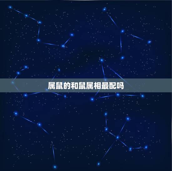 属鼠的和鼠属相最配吗,属鼠人和什么属相合作最好 属鼠的和鼠属相最配吗,属鼠人和什么属相合作最好