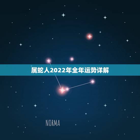 属蛇人2022年全年运势详解，生肖蛇未来十年运势