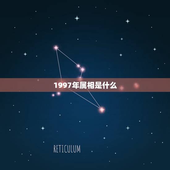 1997年属相是什么，属相牛1997年出生是什么命？
