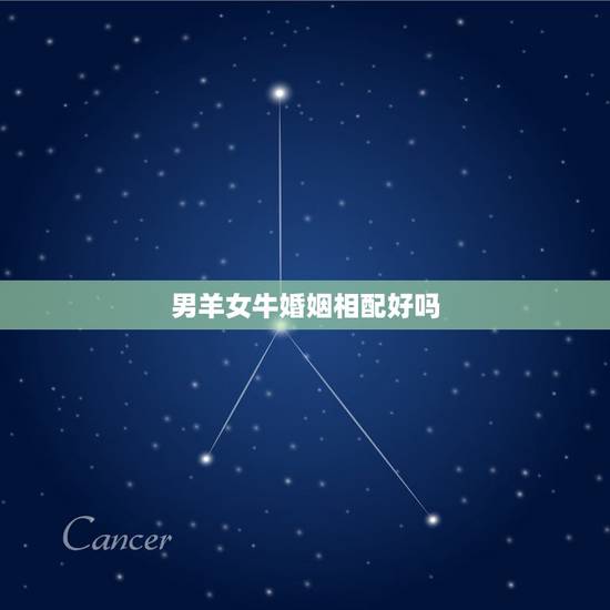 男羊女牛婚姻相配好吗，男属羊和女属牛相配吗