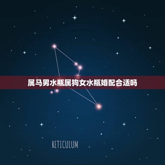 属马男水瓶属狗女水瓶婚配合适吗，属马的狮孑座男和属狗的水瓶座女相配吗