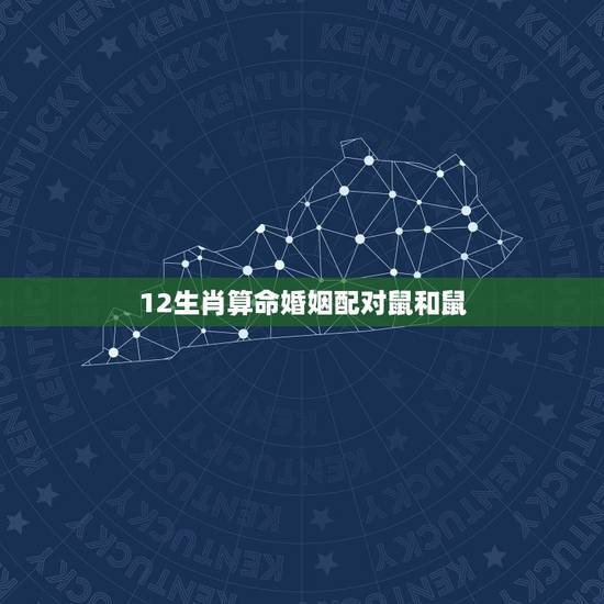 12生肖算命婚姻配对鼠和鼠,12生肖鼠婚姻匹配 12生肖算命婚姻配对鼠和鼠,12生肖鼠婚姻匹配