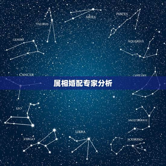 属相婚配专家分析,属相婚配应该相信吗? 属相婚配专家分析,属相婚配应该相信吗?