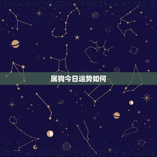 属狗今日运势如何,属狗人今年财运如何 属狗今日运势如何,属狗人今年财运如何