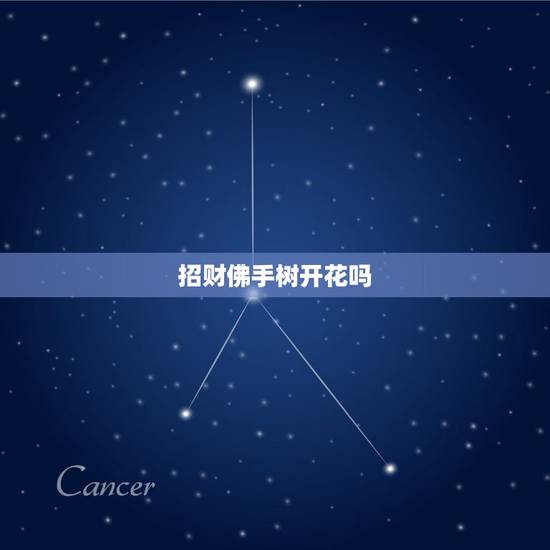 招财佛手树开花吗,招财佛手花好养吗? 招财佛手树开花吗,招财佛手花好养吗?