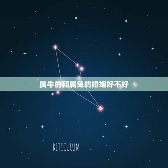 属牛的和属兔的婚姻好不好，属兔和什么属相最配
