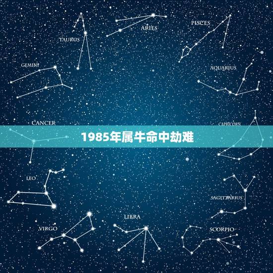 1985年属牛命中劫难 1985年属牛女一生劫数