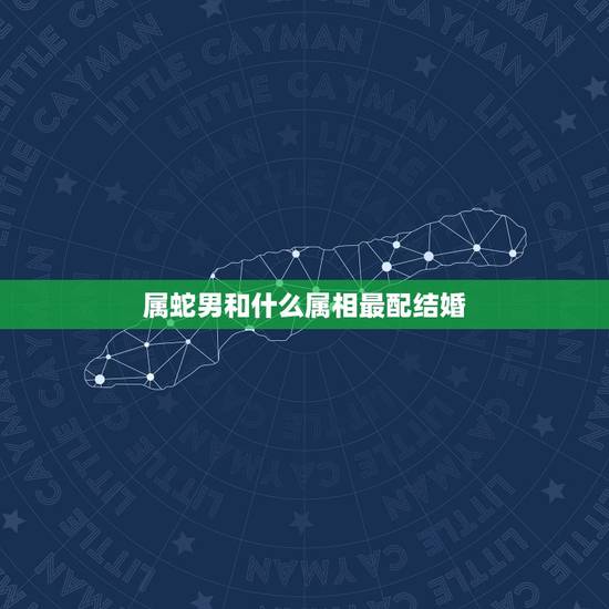 属蛇男和什么属相最配结婚，1989男属蛇双子座的和什么属相最配
