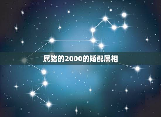 属猪的2000的婚配属相,71年属猪的和什么属相最配 属猪的属相婚配表 属猪的2000的婚配属相,71年属猪的和什么属相最配 属猪的属相婚配表
