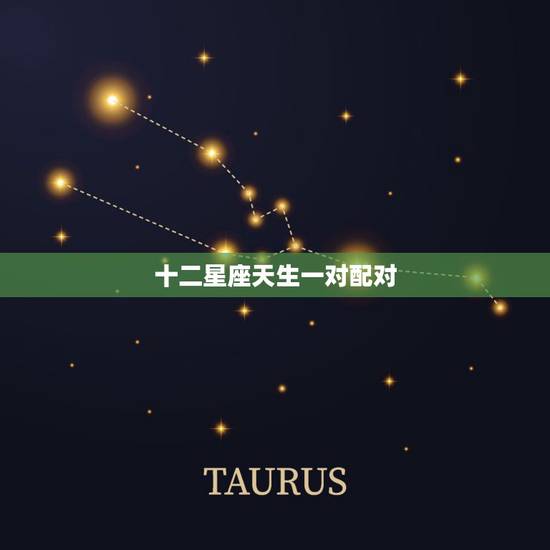 十二星座天生一对配对 十二星座真正情侣配对 十二星座天生一对配对 十二星座真正情侣配对