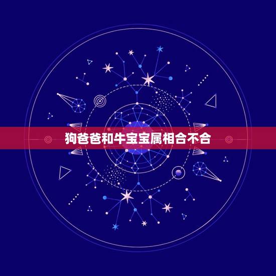 狗爸爸和牛宝宝属相合不合，爸爸属牛孩子属狗好吗