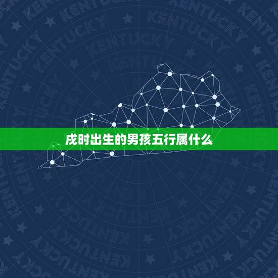 戌时出生的男孩五行属什么,戌时属什么金木水火土 戌时出生的男孩五行属什么,戌时属什么金木水火土