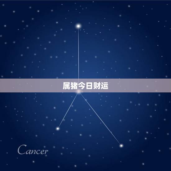 属猪今日财运,属猪的今年的财运 属猪今日财运,属猪的今年的财运