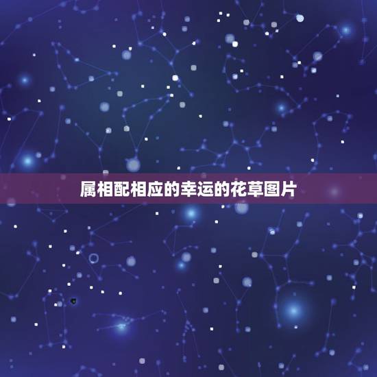 属相配相应的幸运的花草图片,属猴的幸运植物花草 属相配相应的幸运的花草图片,属猴的幸运植物花草