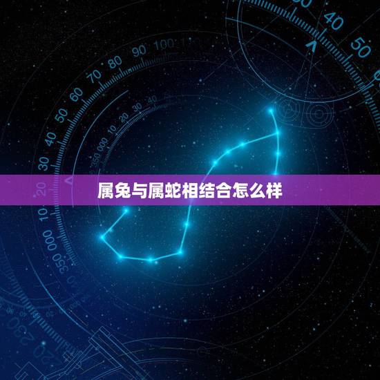 属兔与属蛇相结合怎么样，属蛇和属兔的人合得来吗