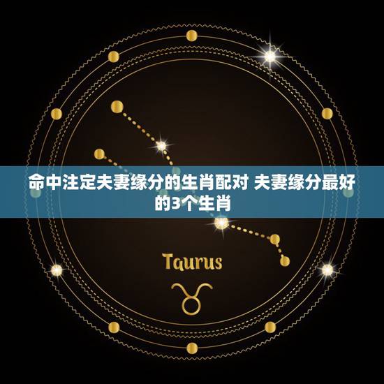 命中注定夫妻缘分的生肖配对 夫妻缘分最好的3个生肖 命中注定夫妻缘分的生肖配对 夫妻缘分最好的3个生肖