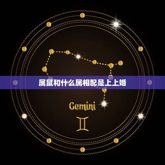 属鼠和什么属相配是上上婚，属鼠的和什么属相最配 属鼠的属相婚配表