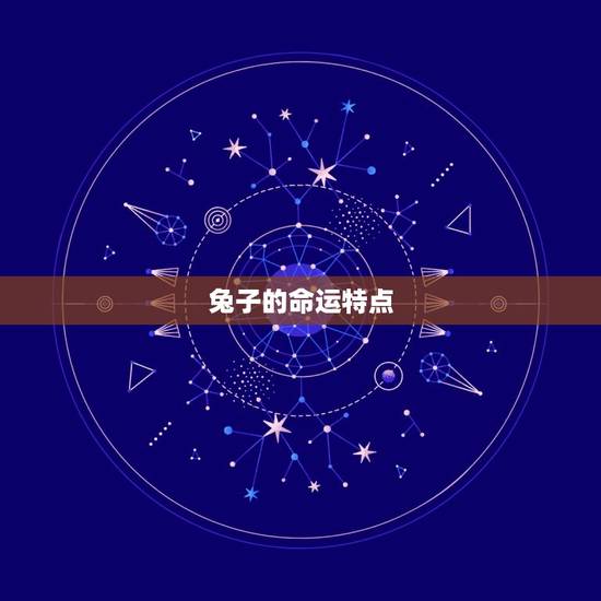 兔子的命运特点