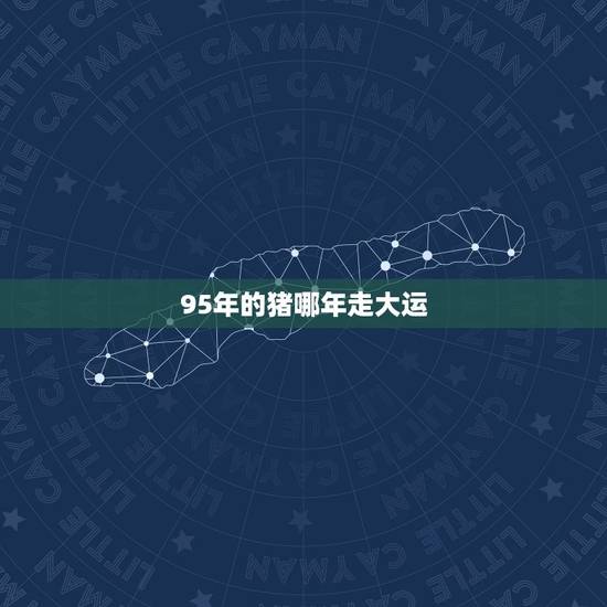 95年的猪哪年走大运，95年山头火命的姻缘