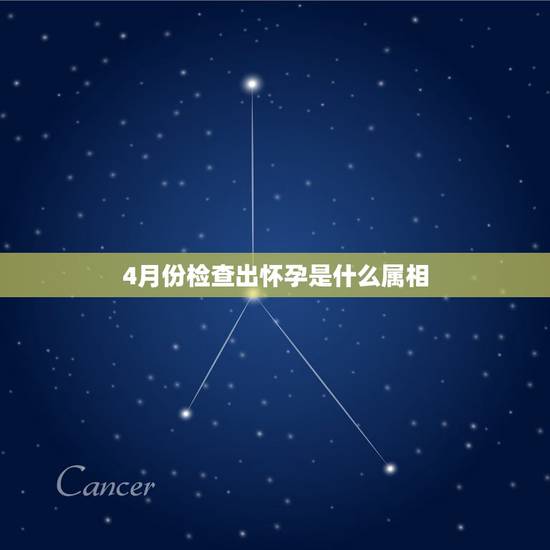 4月份检查出怀孕是什么属相,怀孕2019年4月份检查63天到现在是几个 4月份检查出怀孕是什么属相,怀孕2019年4月份检查63天到现在是几个