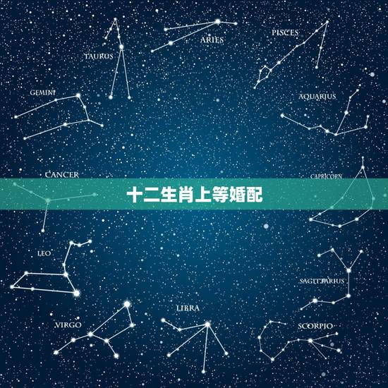 十二生肖上等婚配,十二生肖配对 十二生肖上等婚配,十二生肖配对