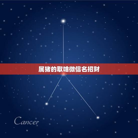 属猪的取啥微信名招财，属猪的用个什么微信名字呢