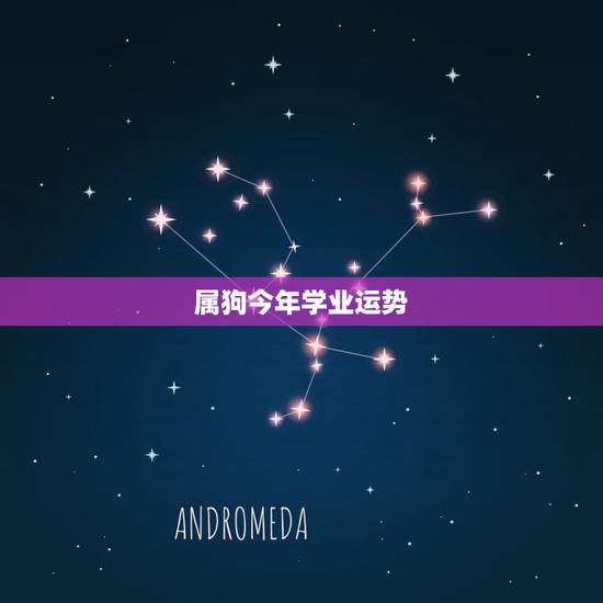 属狗今年学业运势,属狗2017年运势及运程麦玲玲 属狗今年学业运势,属狗2017年运势及运程麦玲玲