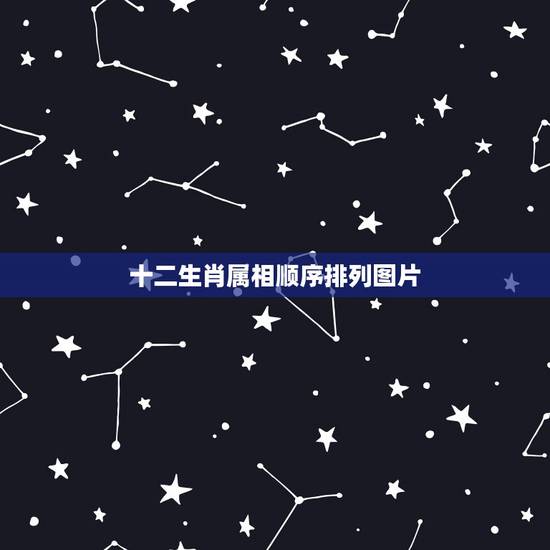十二生肖属相顺序排列图片 如何挑选十二种生肖动物 十二生肖属相顺序排列图片 如何挑选十二种生肖动物