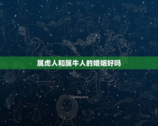 属虎人和属牛人的婚姻好吗,属虎的和属牛的婚姻和吗? 属虎人和属牛人的婚姻好吗,属虎的和属牛的婚姻和吗?