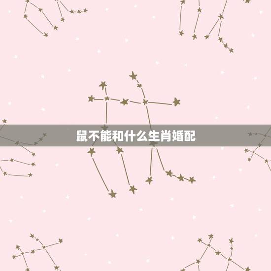 鼠不能和什么生肖婚配,十二生肖鼠与什么生肖不宜婚配 鼠不能和什么生肖婚配,十二生肖鼠与什么生肖不宜婚配