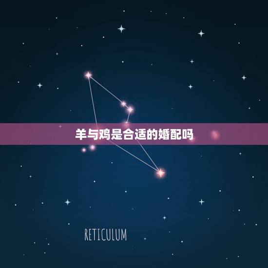 羊与鸡是合适的婚配吗,属相婚配鸡和羊 羊与鸡是合适的婚配吗,属相婚配鸡和羊