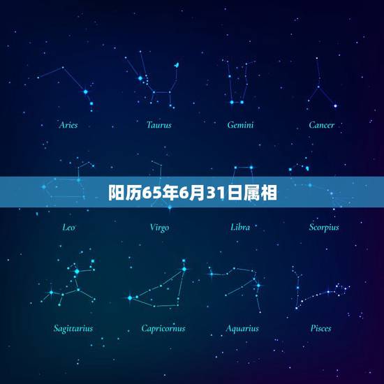 阳历65年6月31日属相，阳历61年1月31日属什么生肖