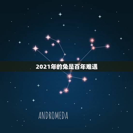 2021年的兔是百年难遇,2021年生肖兔的全年运势 2021年的兔是百年难遇,2021年生肖兔的全年运势