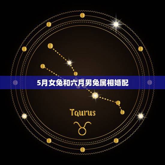 5月女兔和六月男兔属相婚配，属相婚配：男属兔和女属狗相配吗