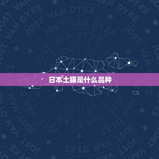 日本土猫是什么品种，日本明星猫有哪些？还有他们的品种。