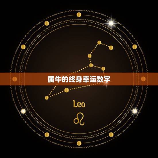 属牛的终身幸运数字，1997年属牛的幸运数字