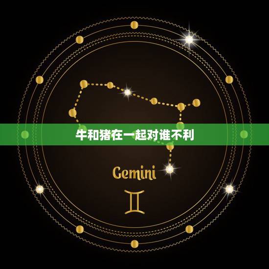 牛和猪在一起对谁不利,属猪和属牛的合不合 牛和猪在一起对谁不利,属猪和属牛的合不合