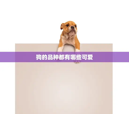 狗的品种都有哪些可爱(探索最受欢迎的狗狗品种) 狗的品种都有哪些可爱(探索最受欢迎的狗狗品种)