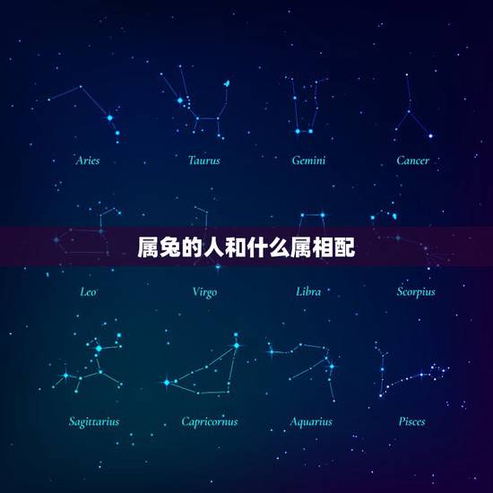 属兔的人和什么属相配，属兔的人和什么生肖最合