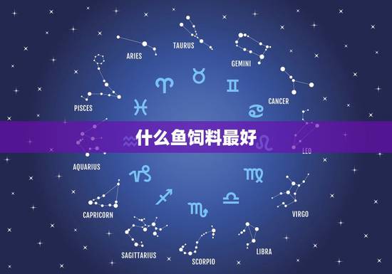 什么鱼饲料最好，金龙鱼喂什么饲料最好