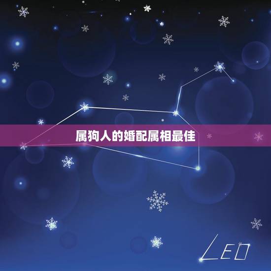 属狗人的婚配属相最佳,女属狗的属相婚配表 属狗人的婚配属相最佳,女属狗的属相婚配表