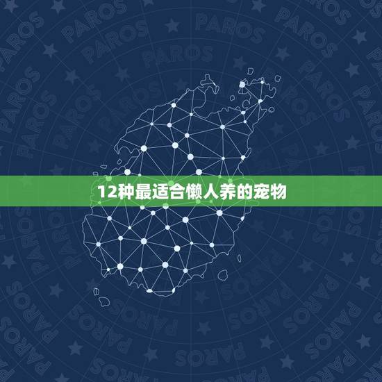 12种最适合懒人养的宠物 粘人又认主人的宠物